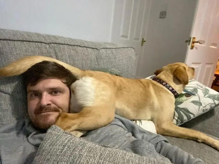 Питомцы, которые не знают границ