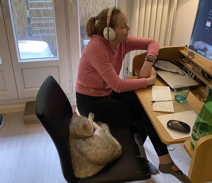 Питомцы, которые не знают границ