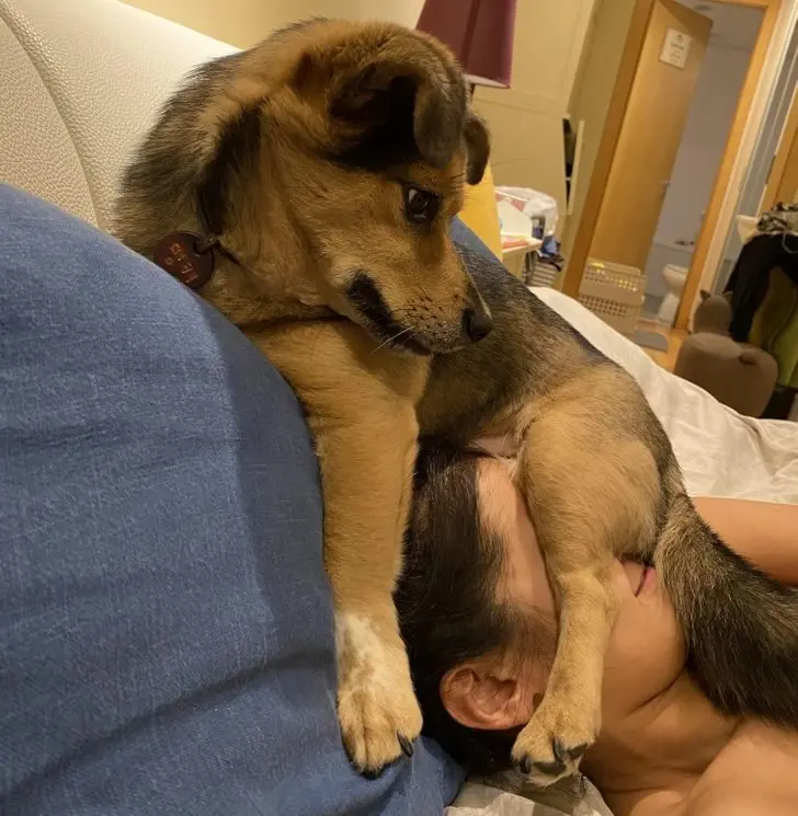 Питомцы, которые не знают границ