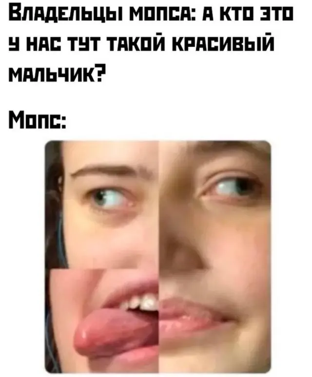 Свежая порция юмора: приколы, чтобы пережить середину недели