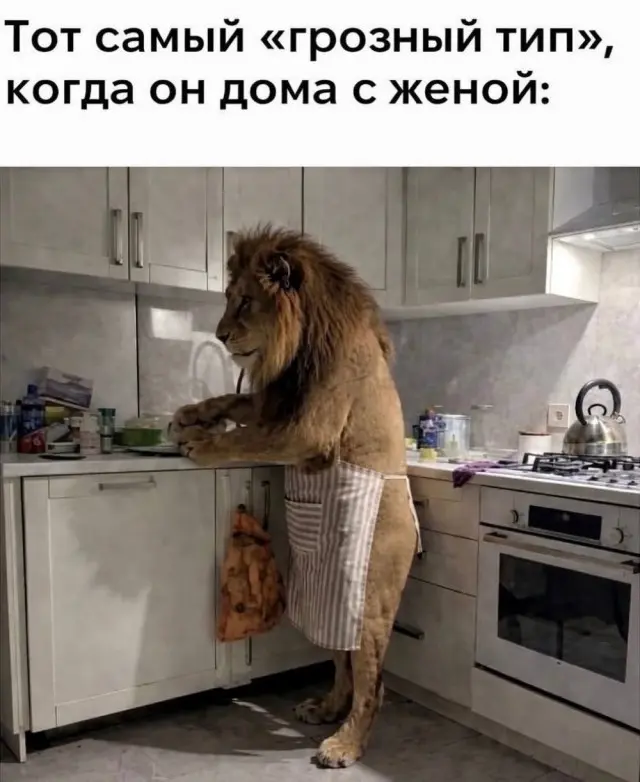 Свежая порция юмора: приколы, чтобы пережить середину недели