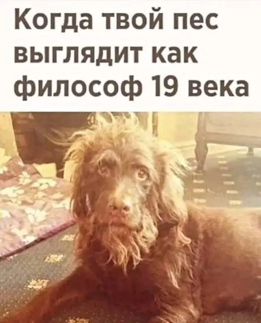 Свежая порция юмора: приколы, чтобы пережить середину недели