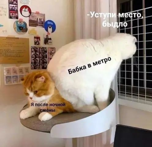 Свежая порция юмора: приколы, чтобы пережить середину недели