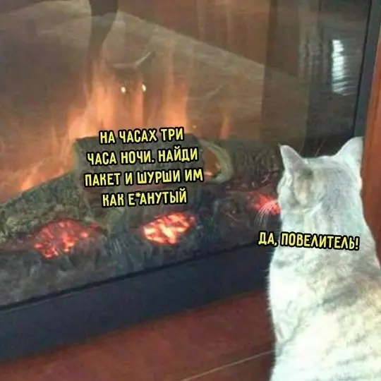 Свежая порция юмора: приколы, чтобы пережить середину недели