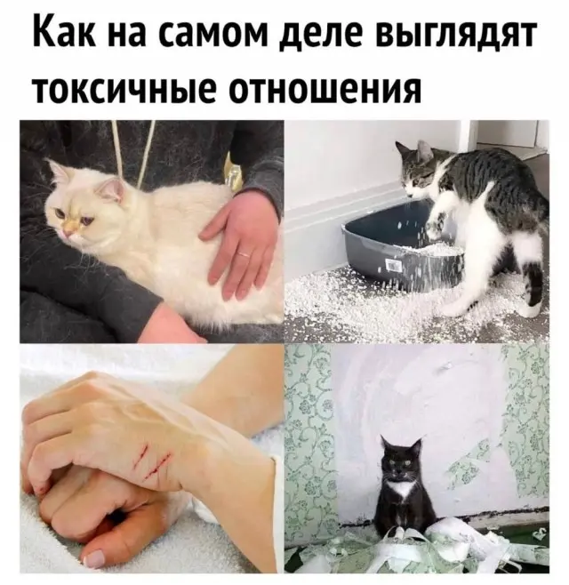 Свежая порция юмора: приколы, чтобы пережить середину недели