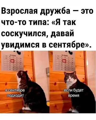 Свежая порция юмора: приколы, чтобы пережить середину недели