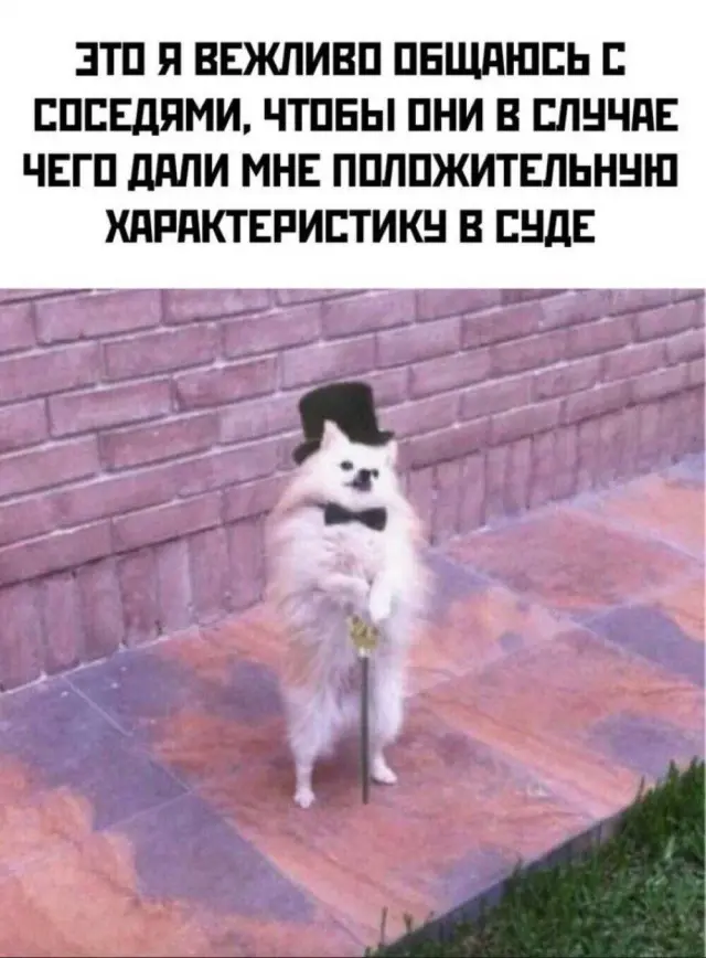 Свежая порция юмора: приколы, чтобы пережить середину недели