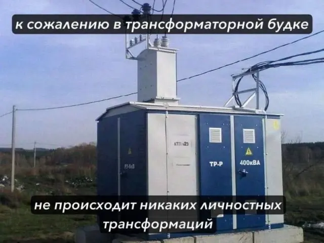 Свежая порция юмора: приколы, чтобы пережить середину недели