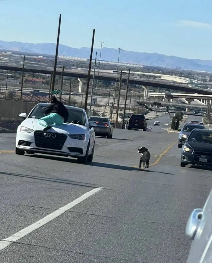 Смех сквозь будни: зарядка юмором на середину недели