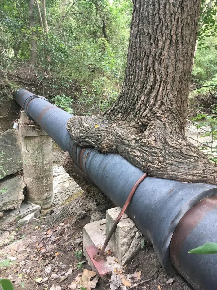 Смех сквозь будни: зарядка юмором на середину недели