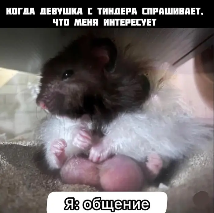 Смех сквозь будни: зарядка юмором на середину недели