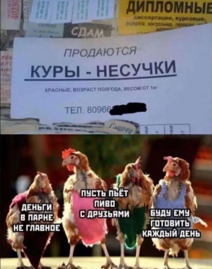 Смех сквозь будни: зарядка юмором на середину недели