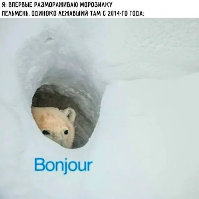 Смех сквозь будни: зарядка юмором на середину недели