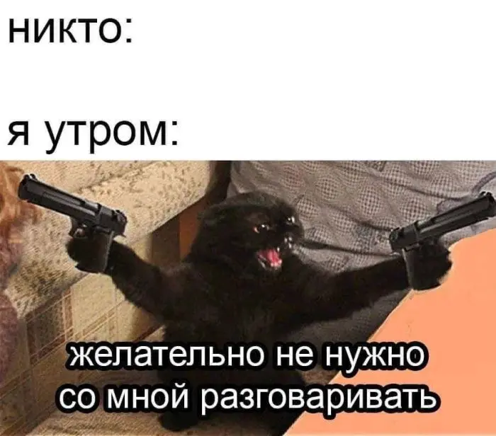 Смех сквозь будни: зарядка юмором на середину недели