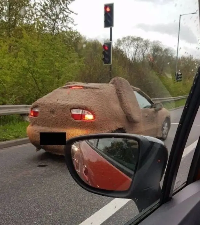 Смех сквозь будни: зарядка юмором на середину недели
