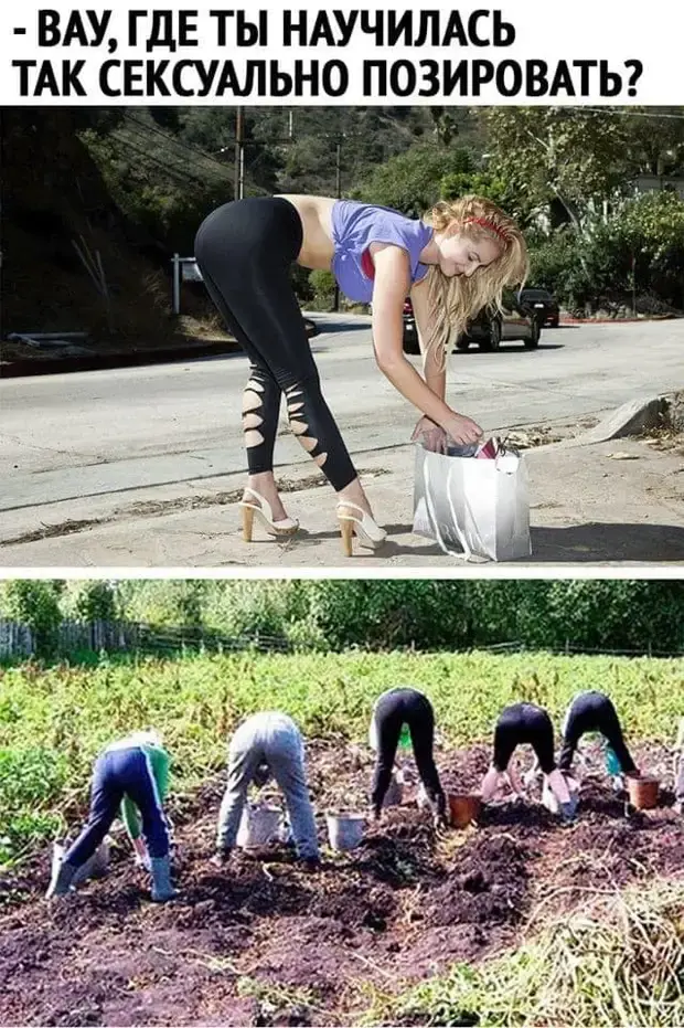 Коллекция свежих анекдотов и шуток