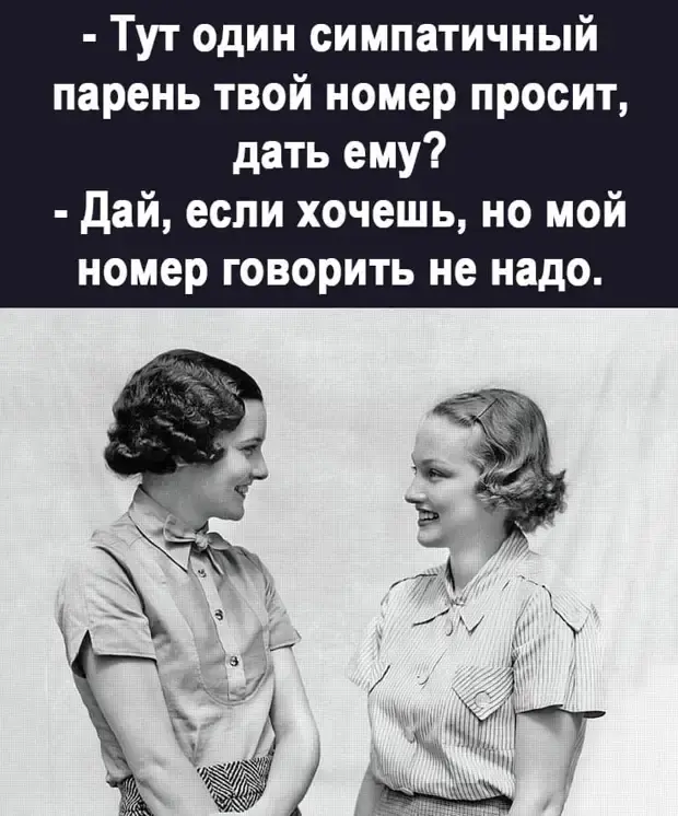 Забавные истории, которые поднимут настроение