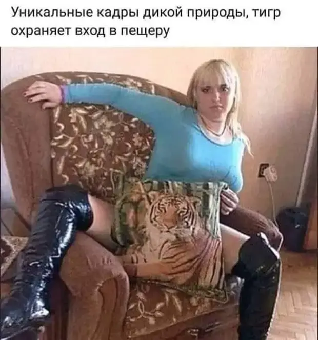 Забавные истории из жизни: от диалогов с женой до экзаменационных хитростей