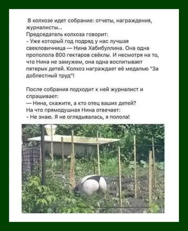 Забавные истории из жизни: от диалогов с женой до экзаменационных хитростей