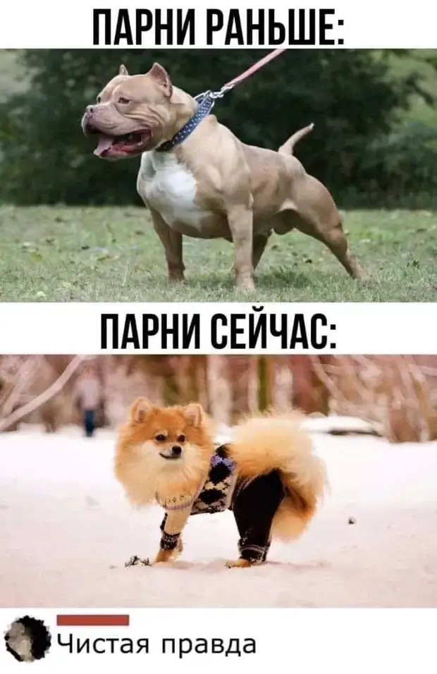 Народные приметы и офисные мечты: подборка забавных историй