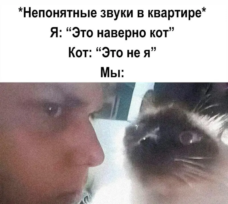 Лучшие смешные картинки за 5 лет: юмор на любой вкус