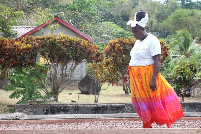 Секреты крафтового шоколада: от плодов какао до десерта на вашем столе