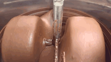 Секреты крафтового шоколада: от плодов какао до десерта на вашем столе