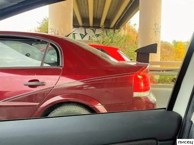 Дорожные курьёзы: подборка автомобильных приколов