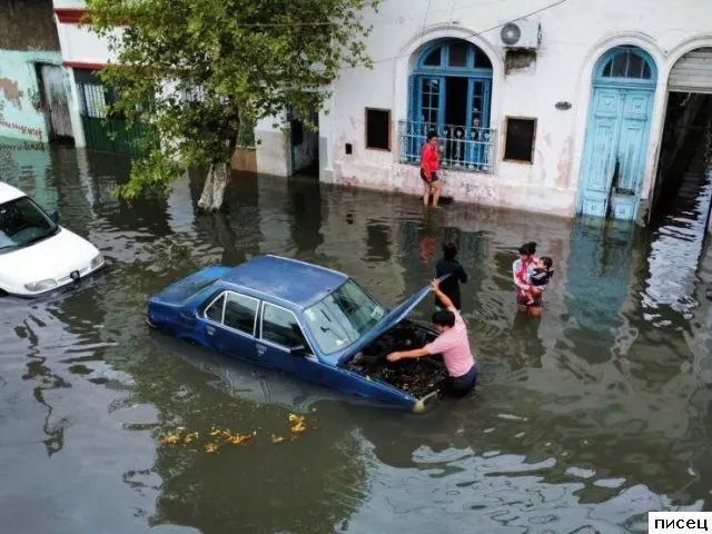 Дорожные курьёзы: подборка автомобильных приколов