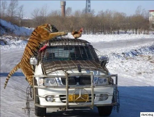 Когда всё пошло не по плану: ситуации с предсказуемо плохим концом