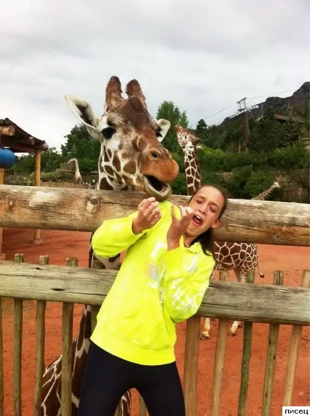 Когда всё пошло не по плану: ситуации с предсказуемо плохим концом