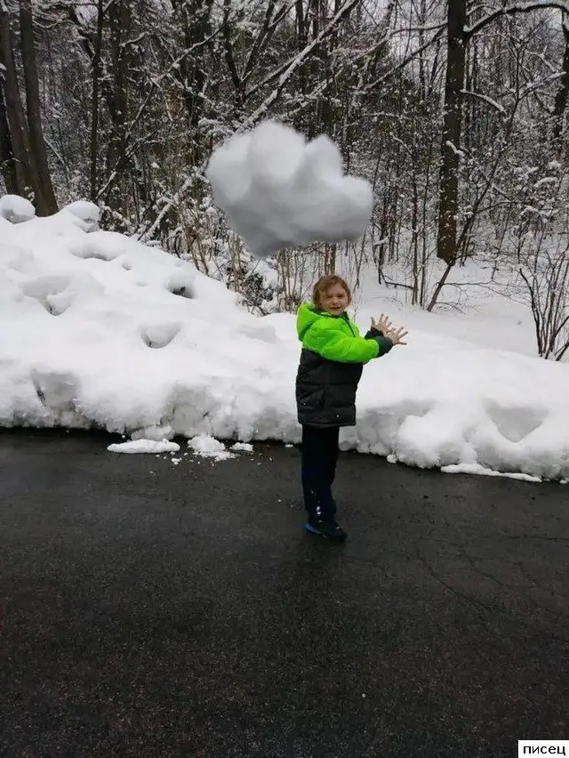 Когда всё пошло не по плану: ситуации с предсказуемо плохим концом