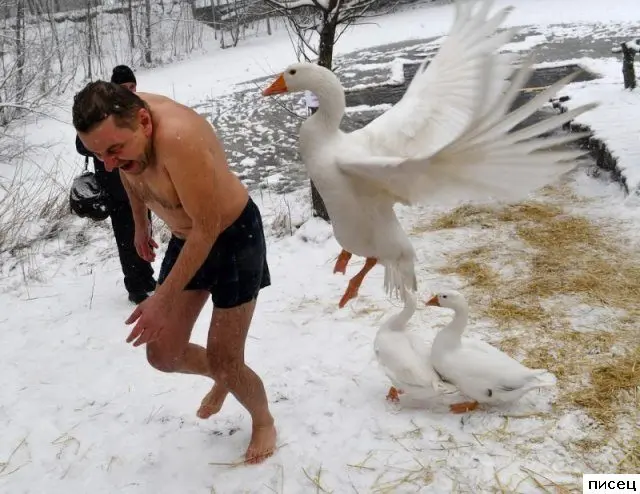 Когда всё пошло не по плану: ситуации с предсказуемо плохим концом