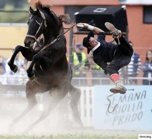 Когда всё пошло не по плану: ситуации с предсказуемо плохим концом