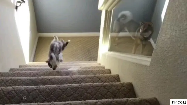 Когда всё пошло не по плану: ситуации с предсказуемо плохим концом