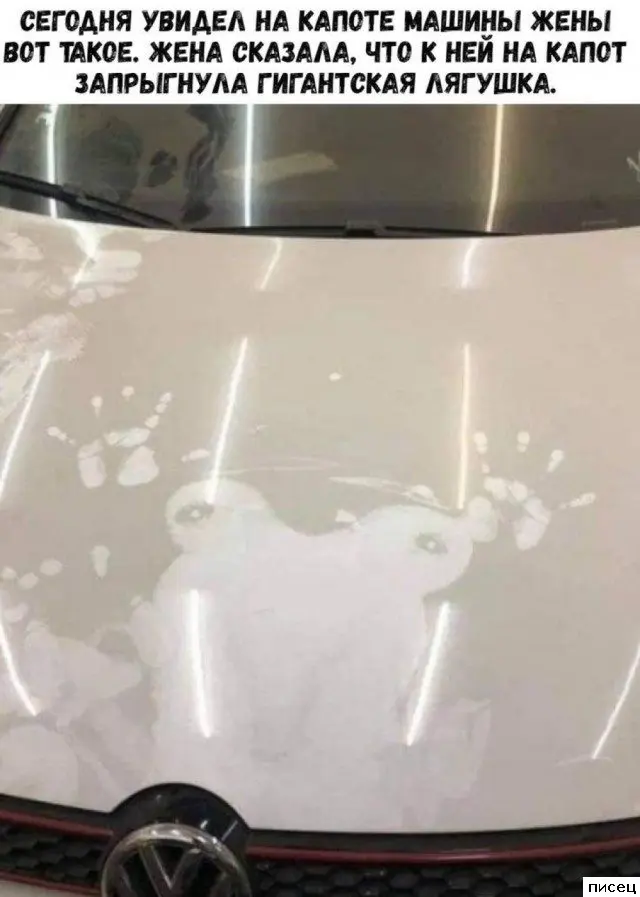 Свежая порция интернет-юмора: лучшие приколы недели