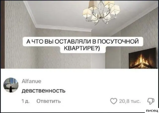 Смех сквозь экран: самые забавные комментарии из социальных сетей