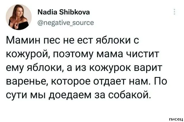 Смех сквозь экран: самые забавные комментарии из социальных сетей
