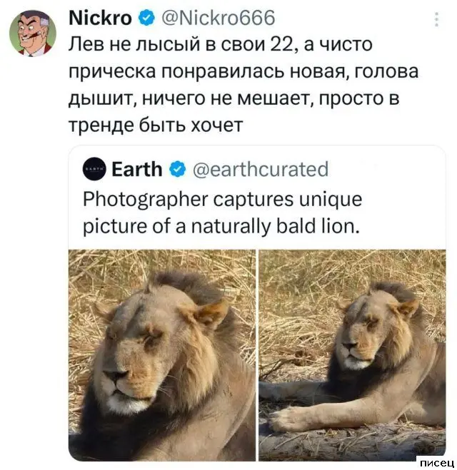 Смех сквозь экран: самые забавные комментарии из социальных сетей