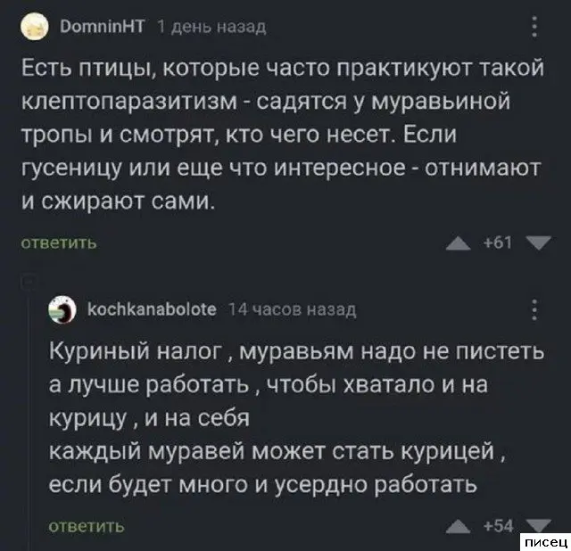 Смех сквозь экран: самые забавные комментарии из социальных сетей