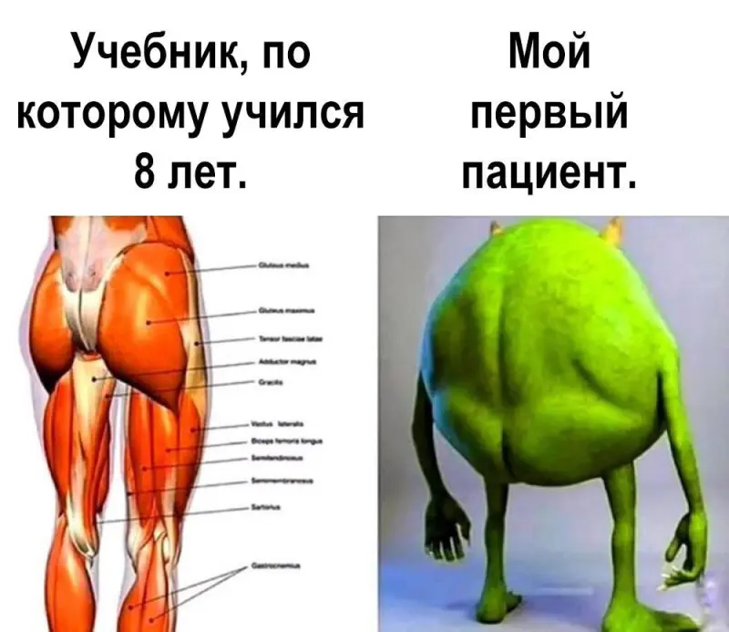 Пятилетка в мемах: лучшая подборка ко Дню смеха