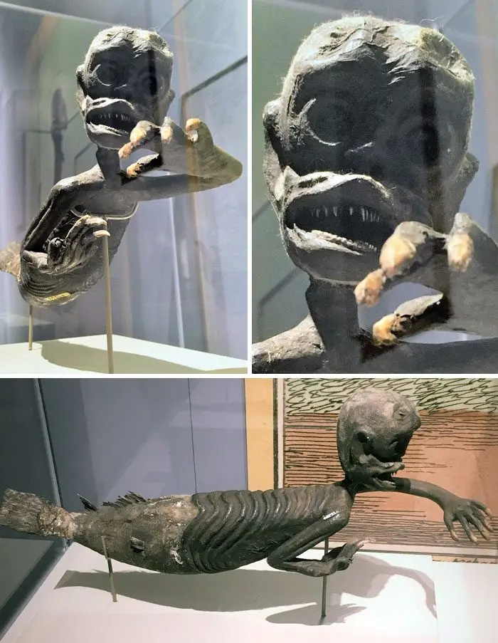 Когда музей — это приключение: 16 самых неожиданных экспонатов со всего света