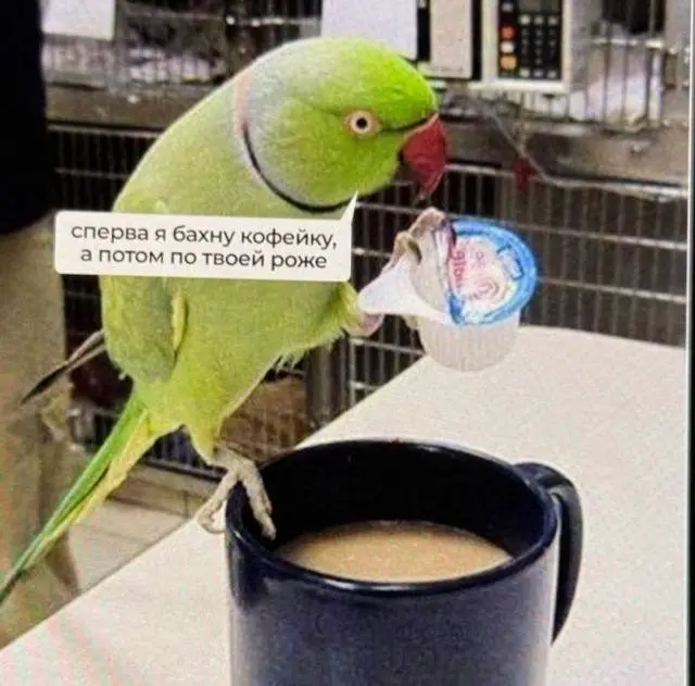 Всё немного не так: подборка абсурдных мемов для поднятия настроения