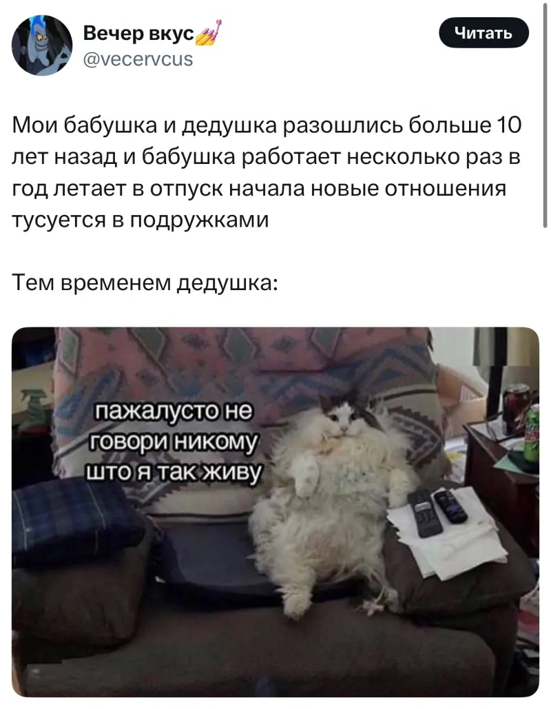 Свежая порция юмора: лучшие твиты и мемы дня