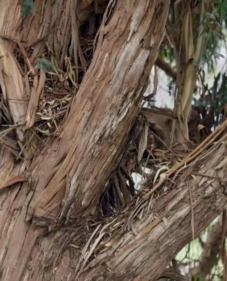 Когда дикая природа показывает свой характер: забавные и милые кадры