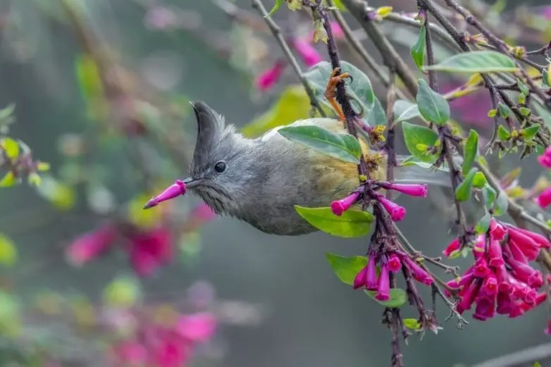 Когда дикая природа показывает свой характер: забавные и милые кадры
