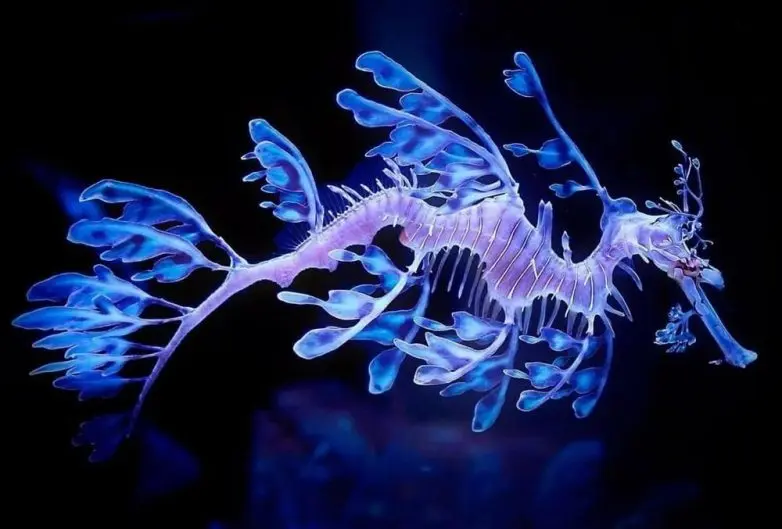 Когда дикая природа показывает свой характер: забавные и милые кадры