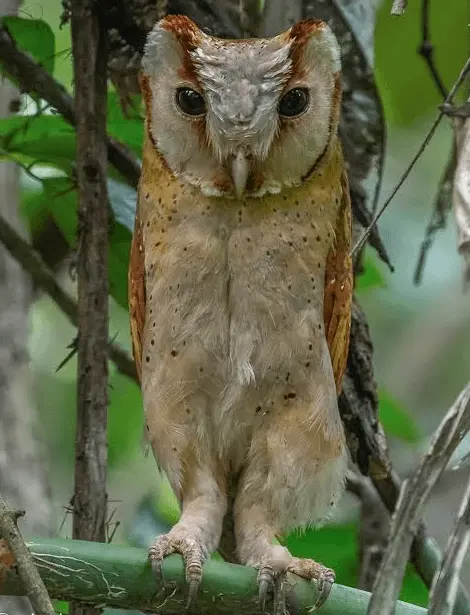Когда дикая природа показывает свой характер: забавные и милые кадры