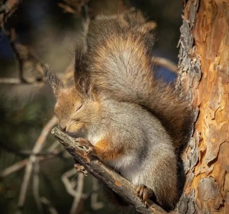 Когда дикая природа показывает свой характер: забавные и милые кадры