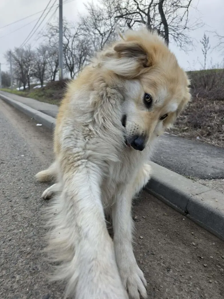 30 фото животных, которые растопят ваше сердце